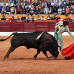 Olienza (Badajoz) - Festejo matinal del domingo 4 de marzo de 2018