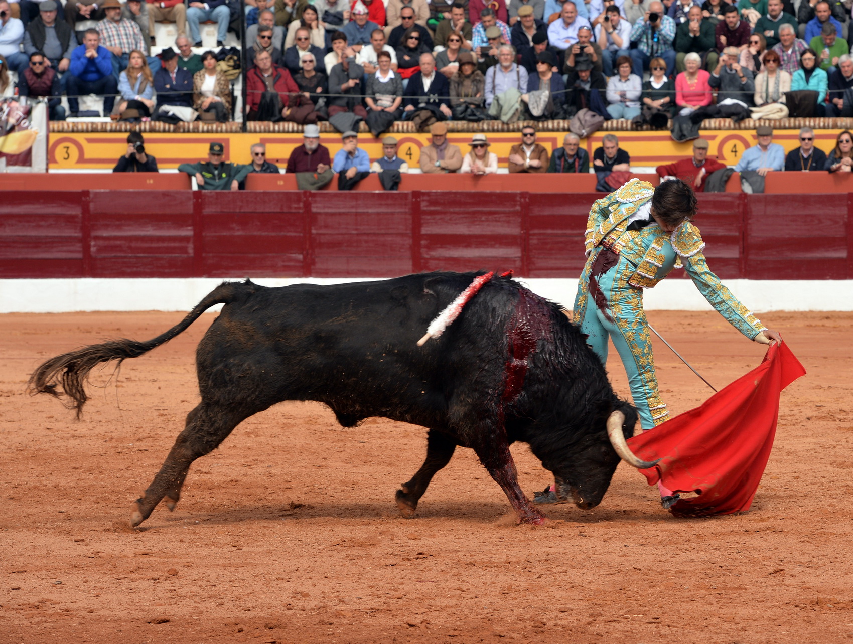 Olienza (Badajoz) - Festejo matinal del domingo 4 de marzo de 2018