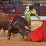 Olivenza(badajoz) - Festejo vespertino del sábado 3 de marzo de 2018
