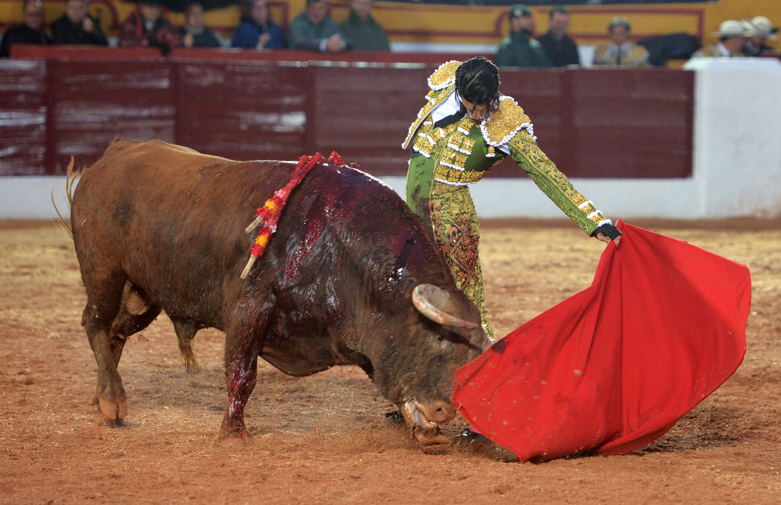 Olivenza(badajoz) - Festejo vespertino del sábado 3 de marzo de 2018