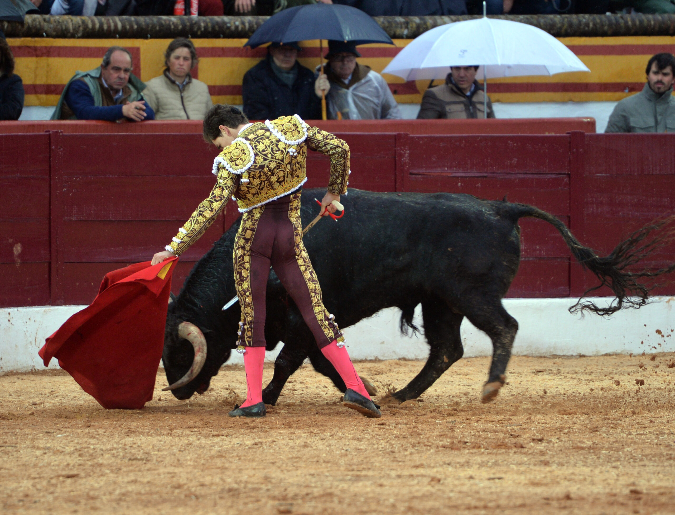 Olivenza(badajoz) - Festejo vespertino del sábado 3 de marzo de 2018