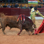 Olivenza(badajoz) - Festejo vespertino del sábado 3 de marzo de 2018
