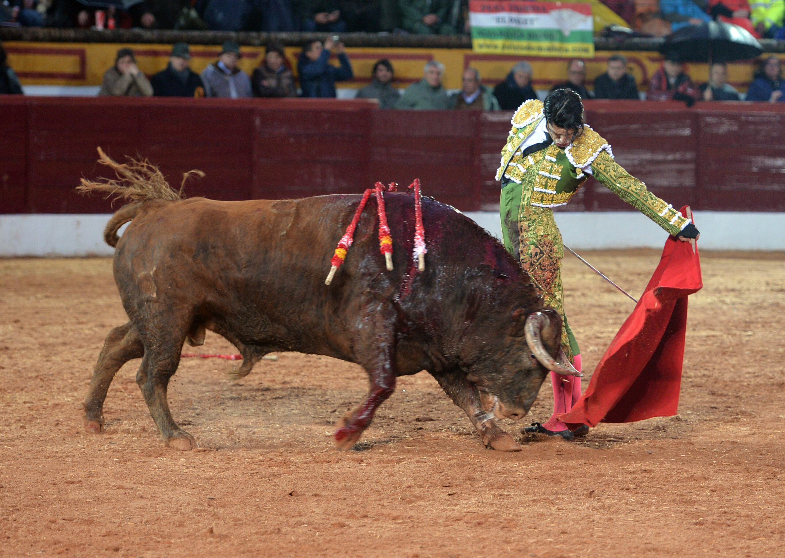 Olivenza(badajoz) - Festejo vespertino del sábado 3 de marzo de 2018
