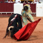 Olienza (Badajoz) - Festejo matinal del domingo 4 de marzo de 2018