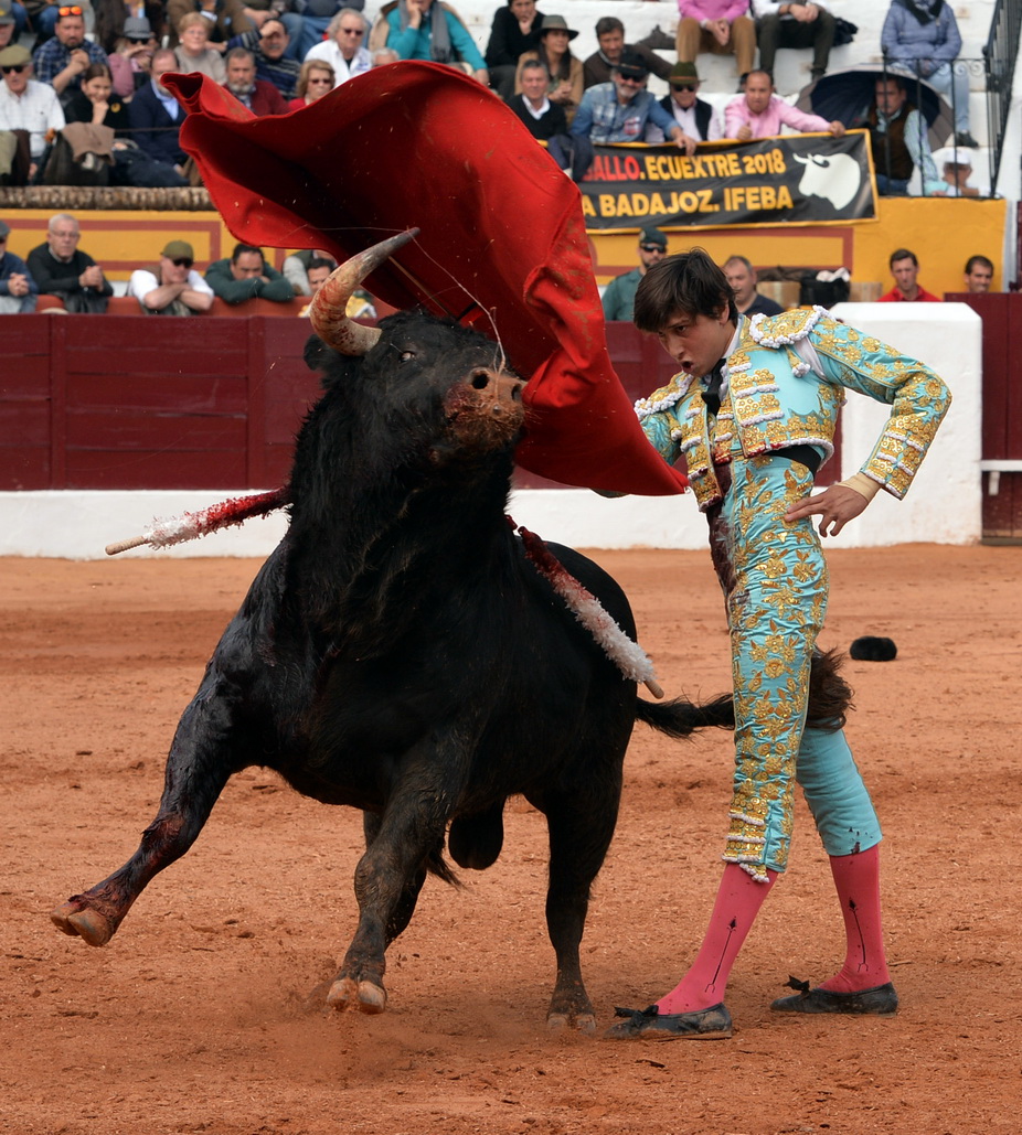 Olienza (Badajoz) - Festejo matinal del domingo 4 de marzo de 2018