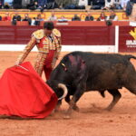 Olienza (Badajoz) - Festejo matinal del domingo 4 de marzo de 2018