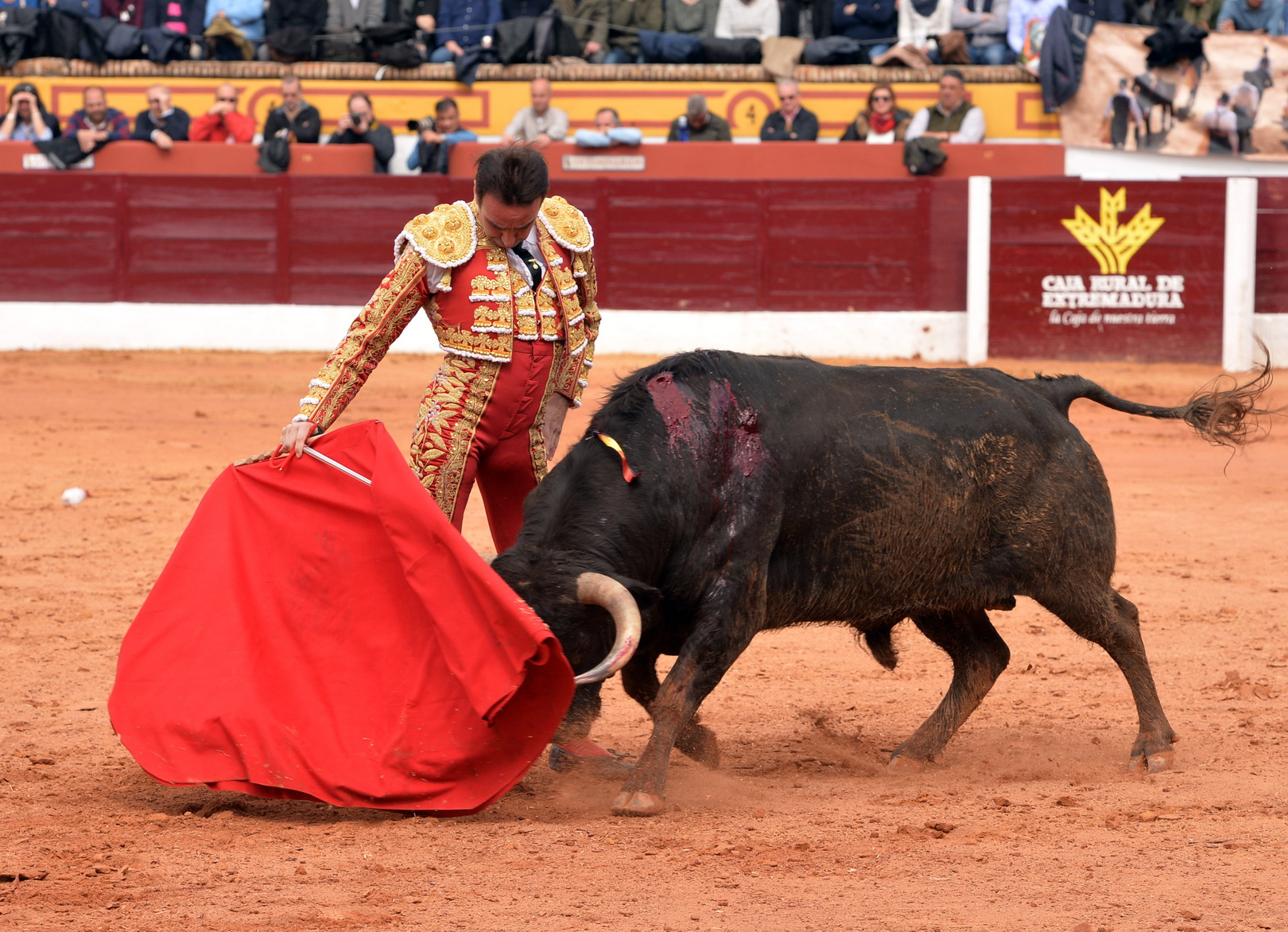 Olienza (Badajoz) - Festejo matinal del domingo 4 de marzo de 2018