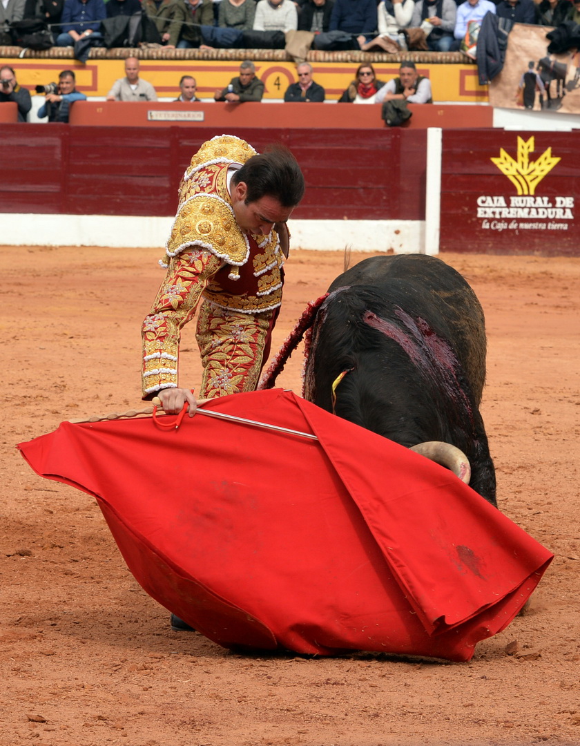 Olienza (Badajoz) - Festejo matinal del domingo 4 de marzo de 2018