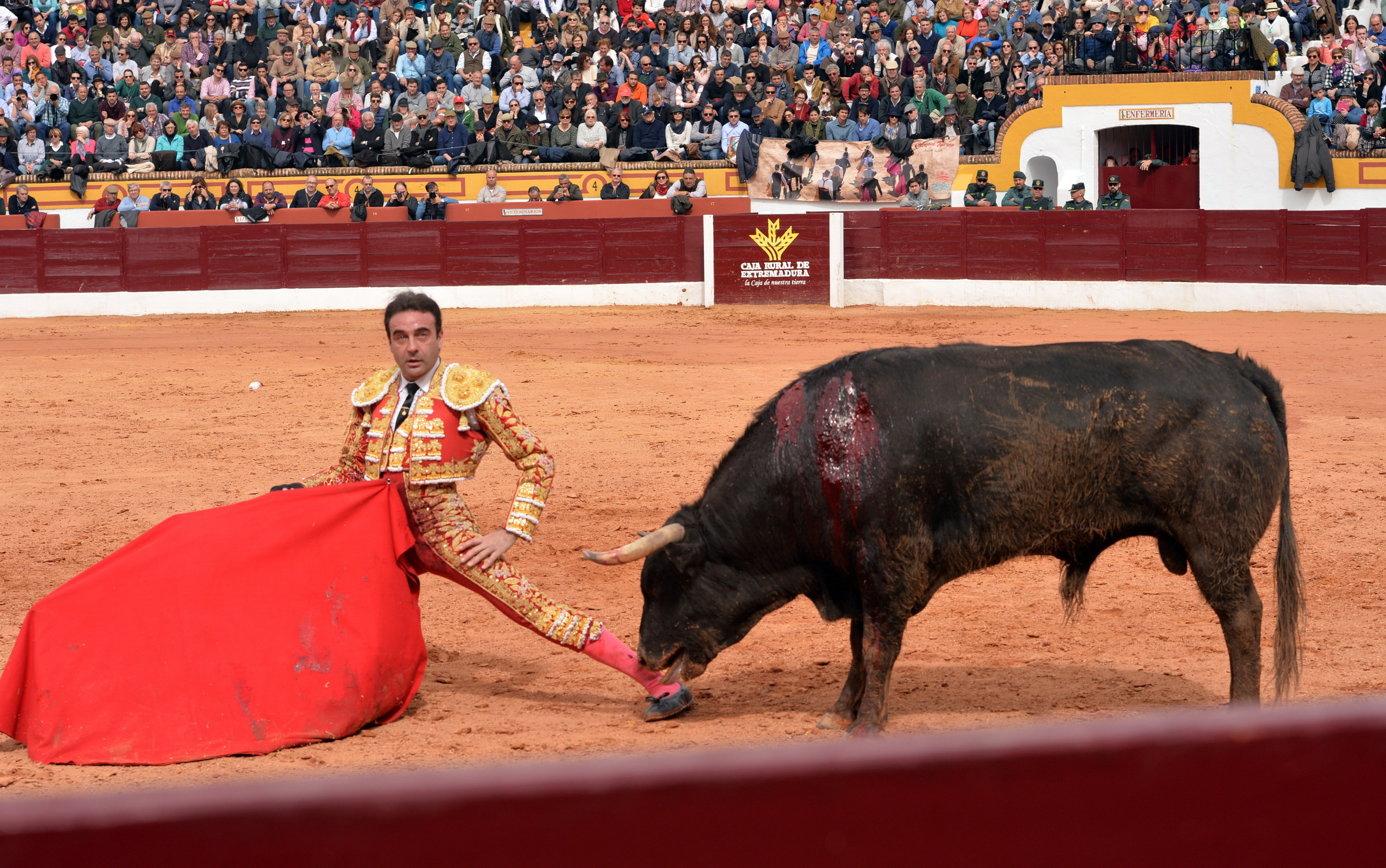 Olienza (Badajoz) - Festejo matinal del domingo 4 de marzo de 2018