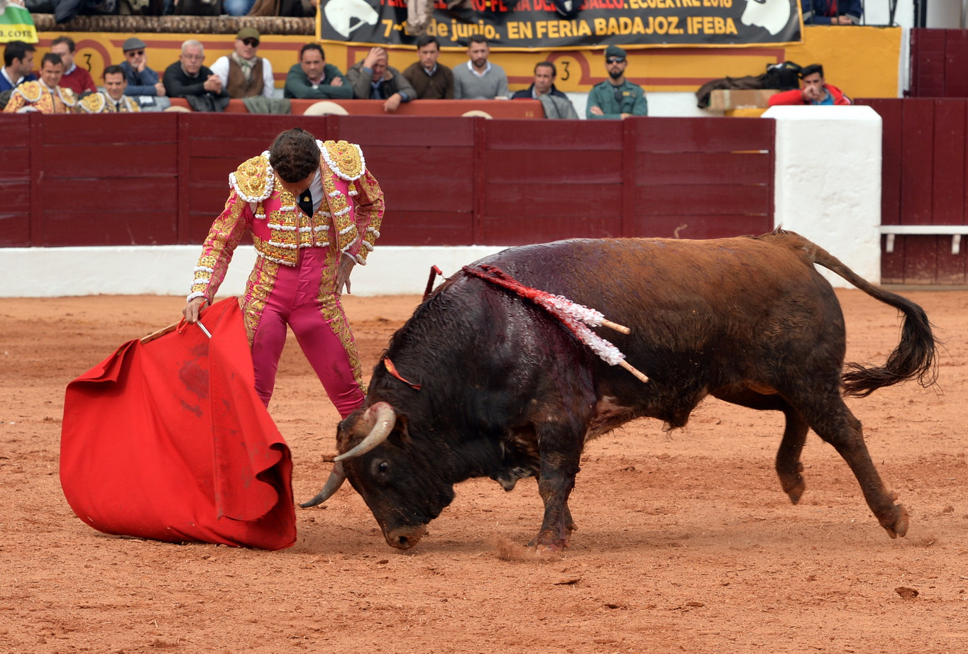 Olienza (Badajoz) - Festejo matinal del domingo 4 de marzo de 2018