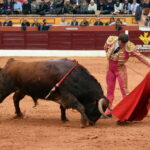 Olienza (Badajoz) - Festejo matinal del domingo 4 de marzo de 2018