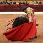 Olienza (Badajoz) - Festejo matinal del domingo 4 de marzo de 2018