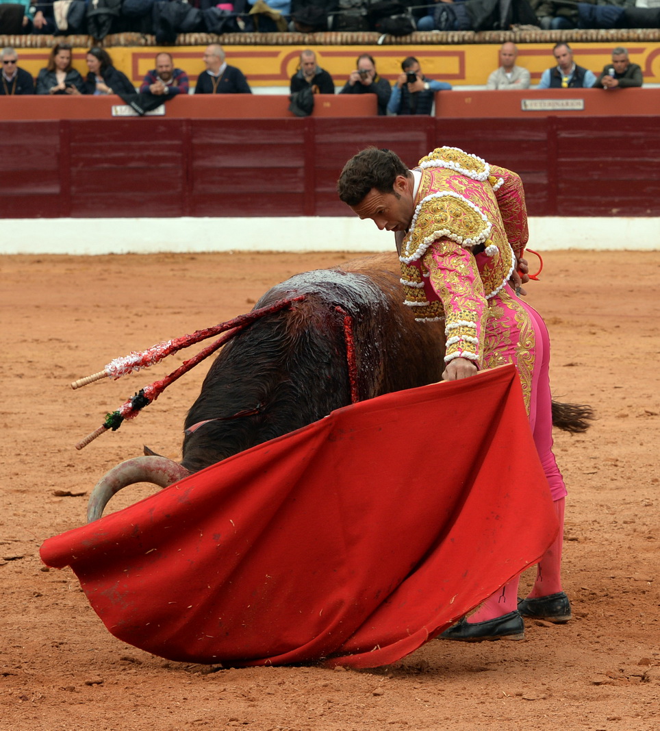 Olienza (Badajoz) - Festejo matinal del domingo 4 de marzo de 2018