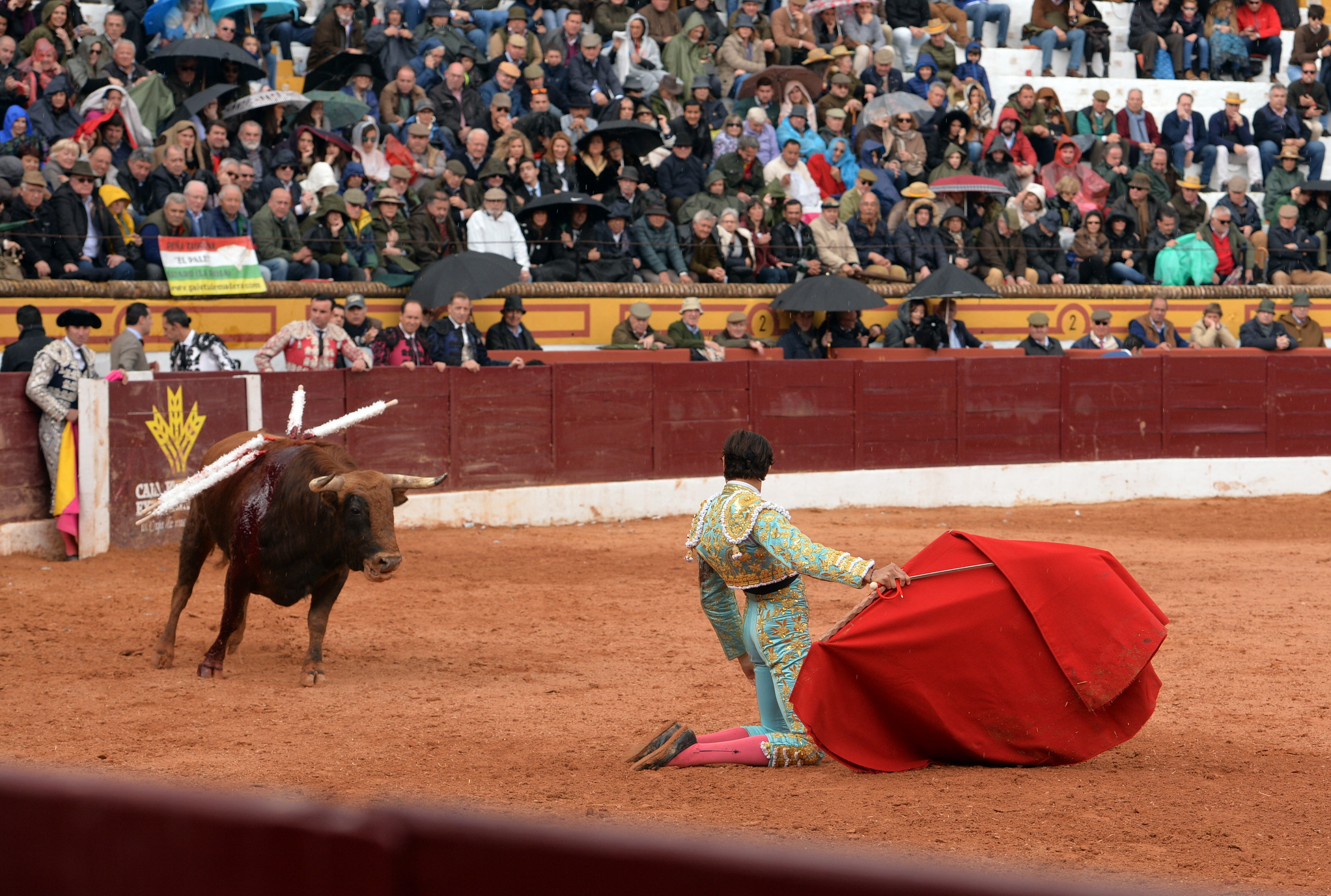 Olienza (Badajoz) - Festejo matinal del domingo 4 de marzo de 2018