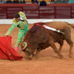 Olivenza (Badajoz) - Festejo vespertino del domingo 4 de marzo de 2018