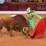 Olivenza (Badajoz) - Festejo vespertino del domingo 4 de marzo de 2018