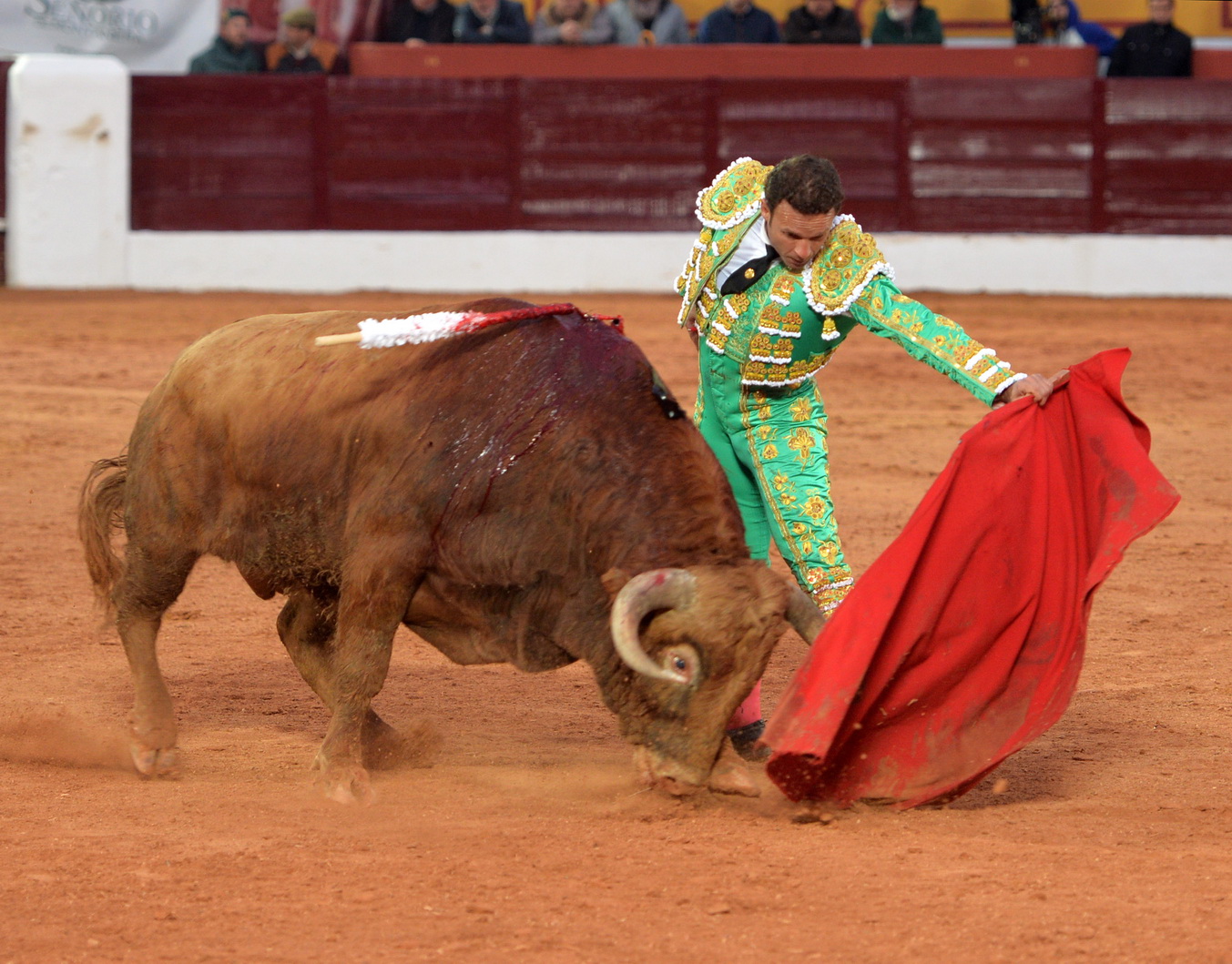 Olivenza (Badajoz) - Festejo vespertino del domingo 4 de marzo de 2018