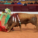 Olivenza (Badajoz) - Festejo vespertino del domingo 4 de marzo de 2018