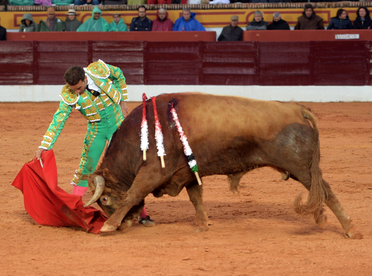 Olivenza (Badajoz) - Festejo vespertino del domingo 4 de marzo de 2018
