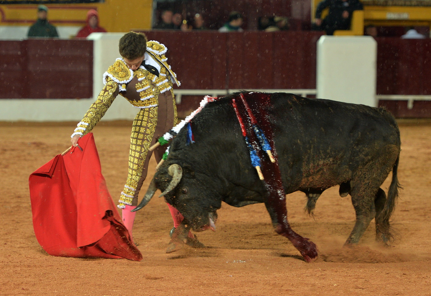 Olivenza (Badajoz) - Festejo vespertino del domingo 4 de marzo de 2018