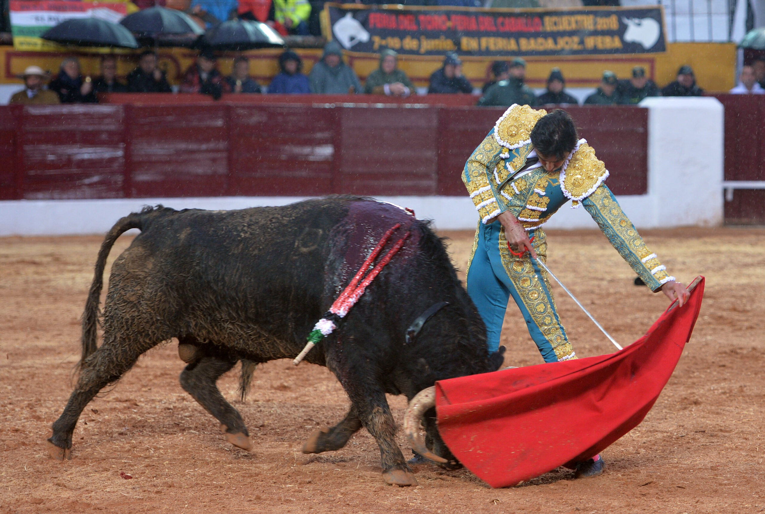 Olivenza(badajoz) - Festejo vespertino del sábado 3 de marzo de 2018