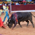 Olivenza(badajoz) - Festejo vespertino del sábado 3 de marzo de 2018