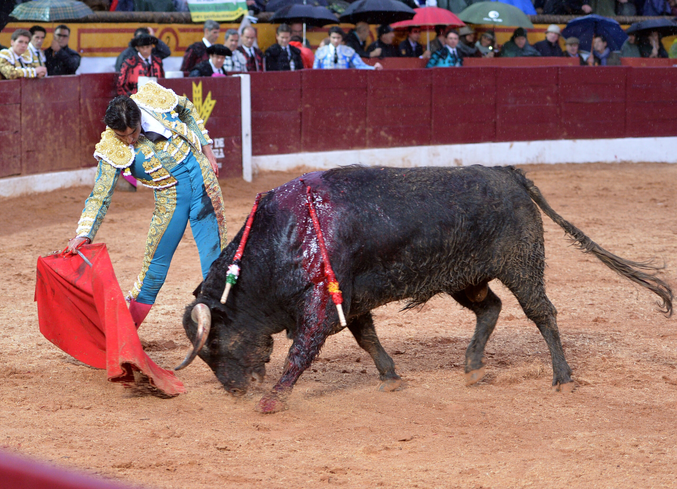 Olivenza(badajoz) - Festejo vespertino del sábado 3 de marzo de 2018