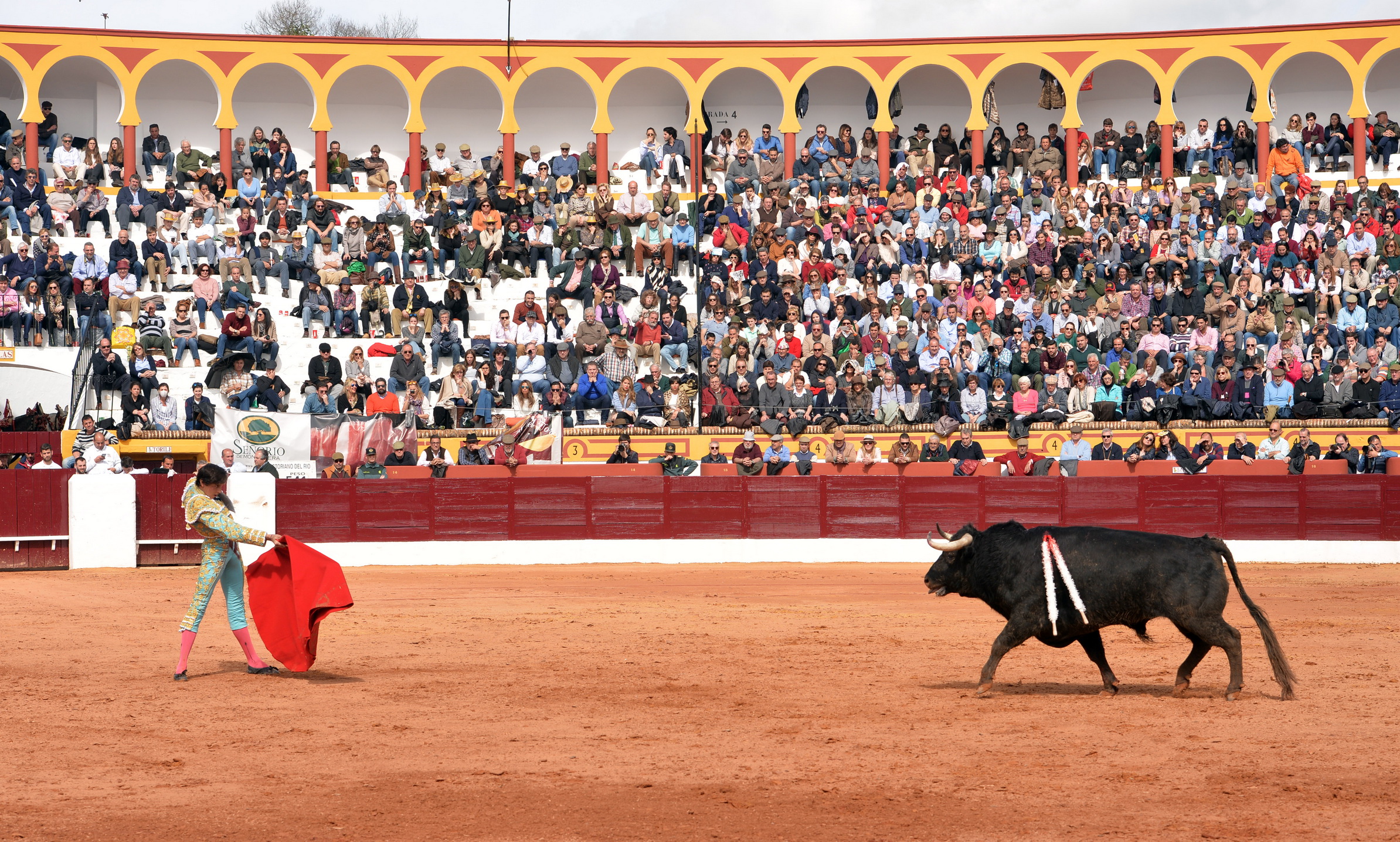 Olienza (Badajoz) - Festejo matinal del domingo 4 de marzo de 2018