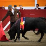 Fiesta campera en Pomarez (Francia), 4 de marzo de 2018