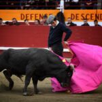 Fiesta campera en Pomarez (Francia), 4 de marzo de 2018