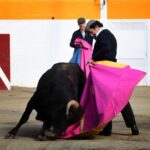 Fiesta campera en Pomarez (Francia), 4 de marzo de 2018