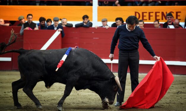 Juan Mora encabezará el festival de Chinchón