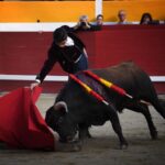 Fiesta campera en Pomarez (Francia), 4 de marzo de 2018