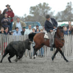 Ya retirado, seguía disfrutando de su pasión por el toro.