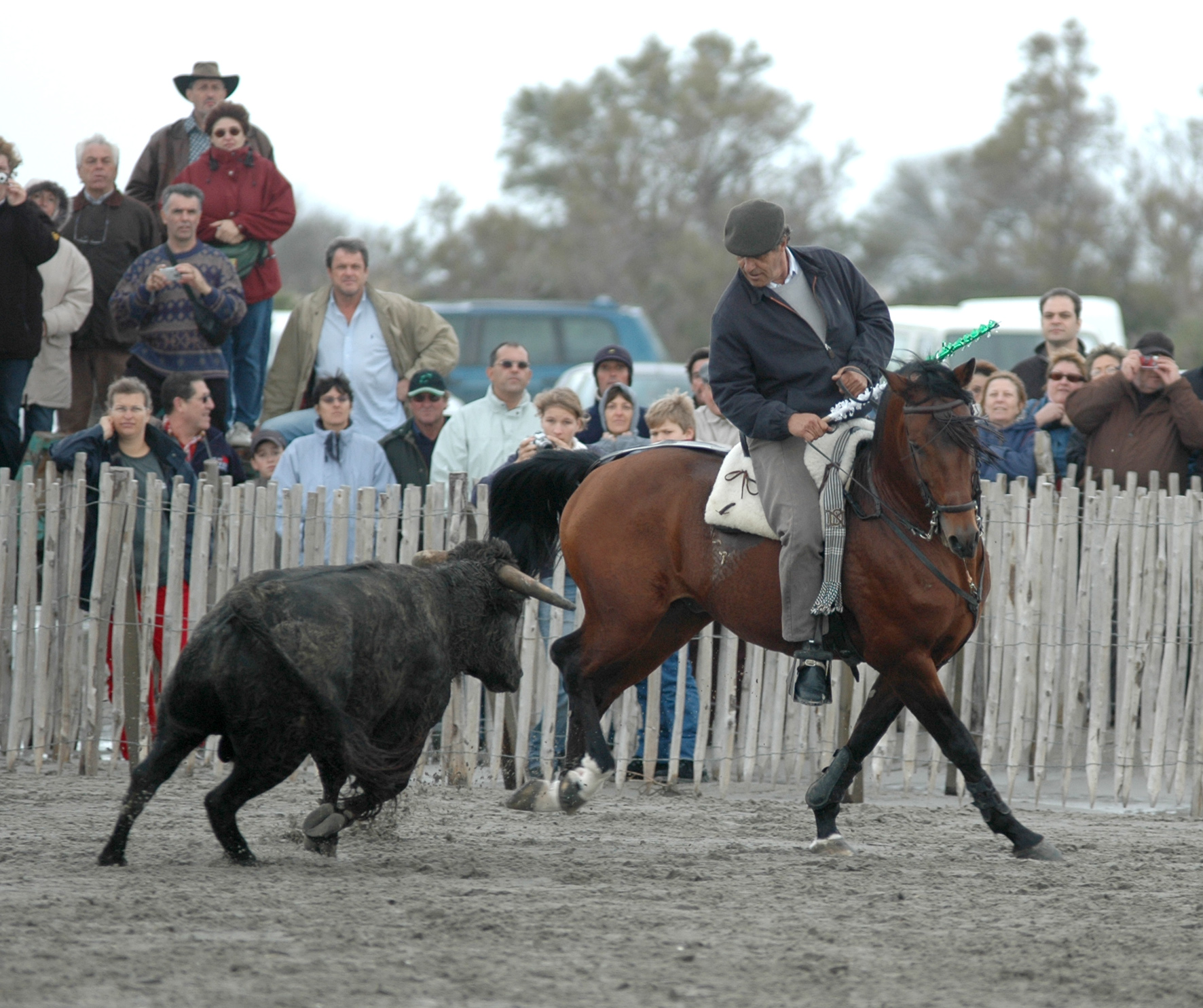 Ya retirado, seguía disfrutando de su pasión por el toro.