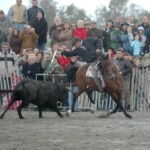 Ya retirado, seguía disfrutando de su pasión por el toro.