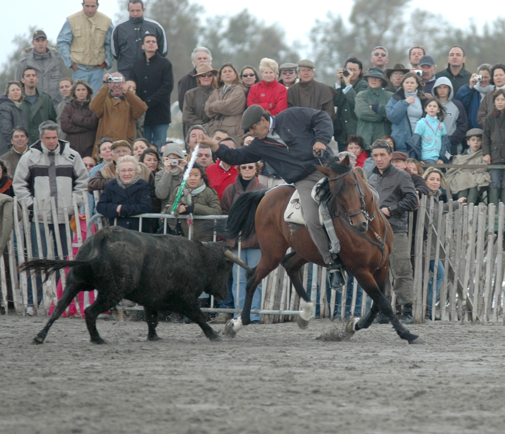 Ya retirado, seguía disfrutando de su pasión por el toro.