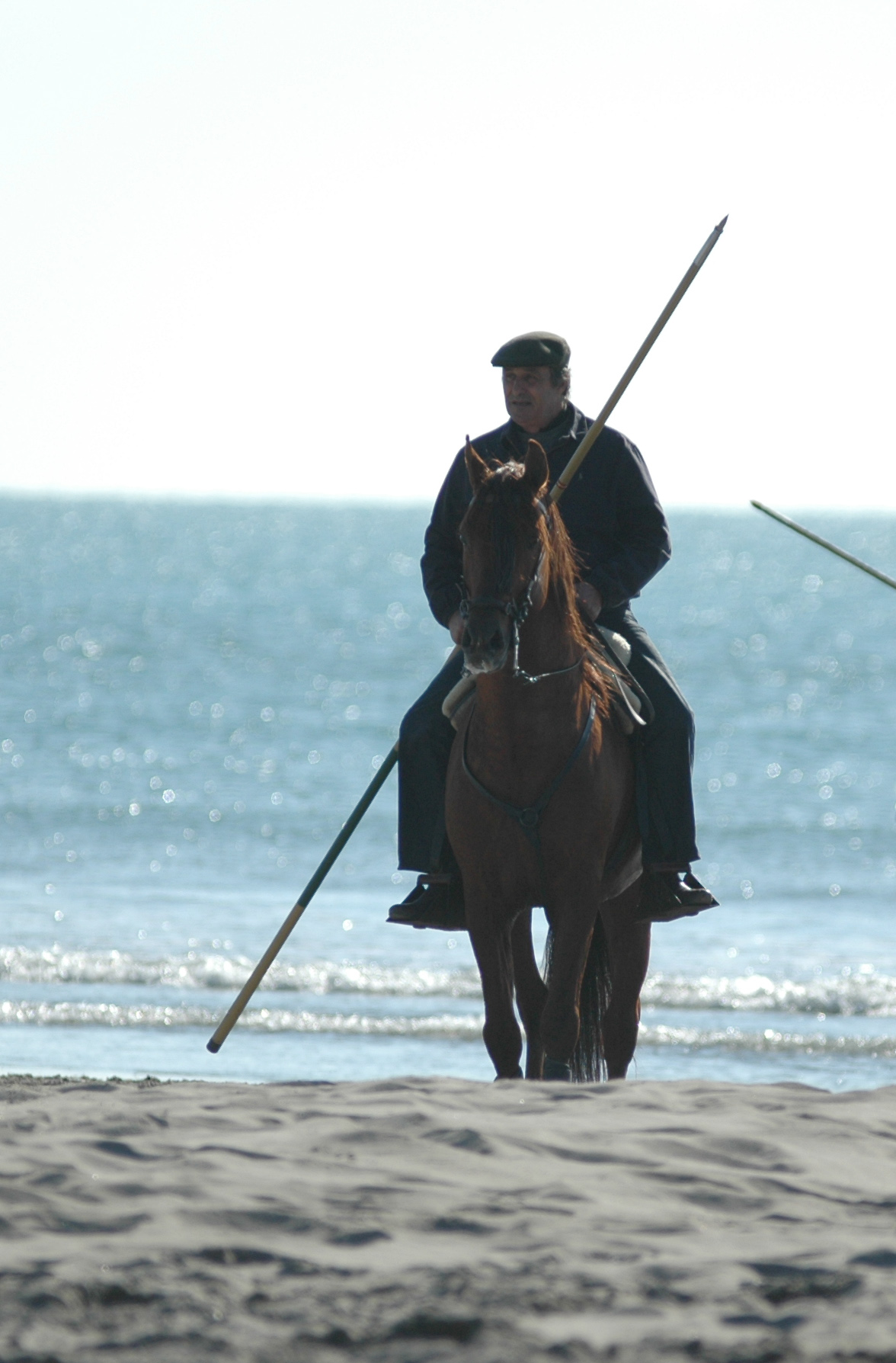 Luc Jalabert fue un enamorado de La Camarga.