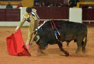 Olivenza (Badajoz) - Festejo vespertino del domingo 4 de marzo de 2018