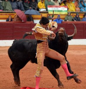Olivenza - Sábado 3 de marzo de 2018 - Festejo matinal