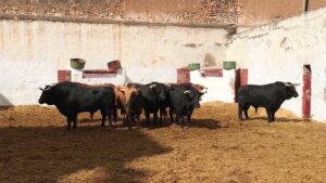 Castellón - Toros de Juan Pedro Domecq - Domingo 11 de marzo de 2018