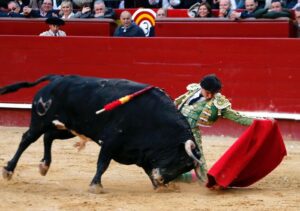 Roca Rey, iniciando la faena a Rosito en Valencia.