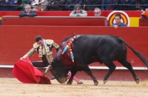 Valencia - Sábado 17 de marzo de 2018