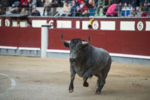 Madrid - Las Ventas - Domingo de Ramos - 24 de marzo de 2018