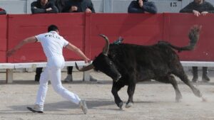 Arles - Corrida camarguesa - Viernes 30 de marzo de 2018
