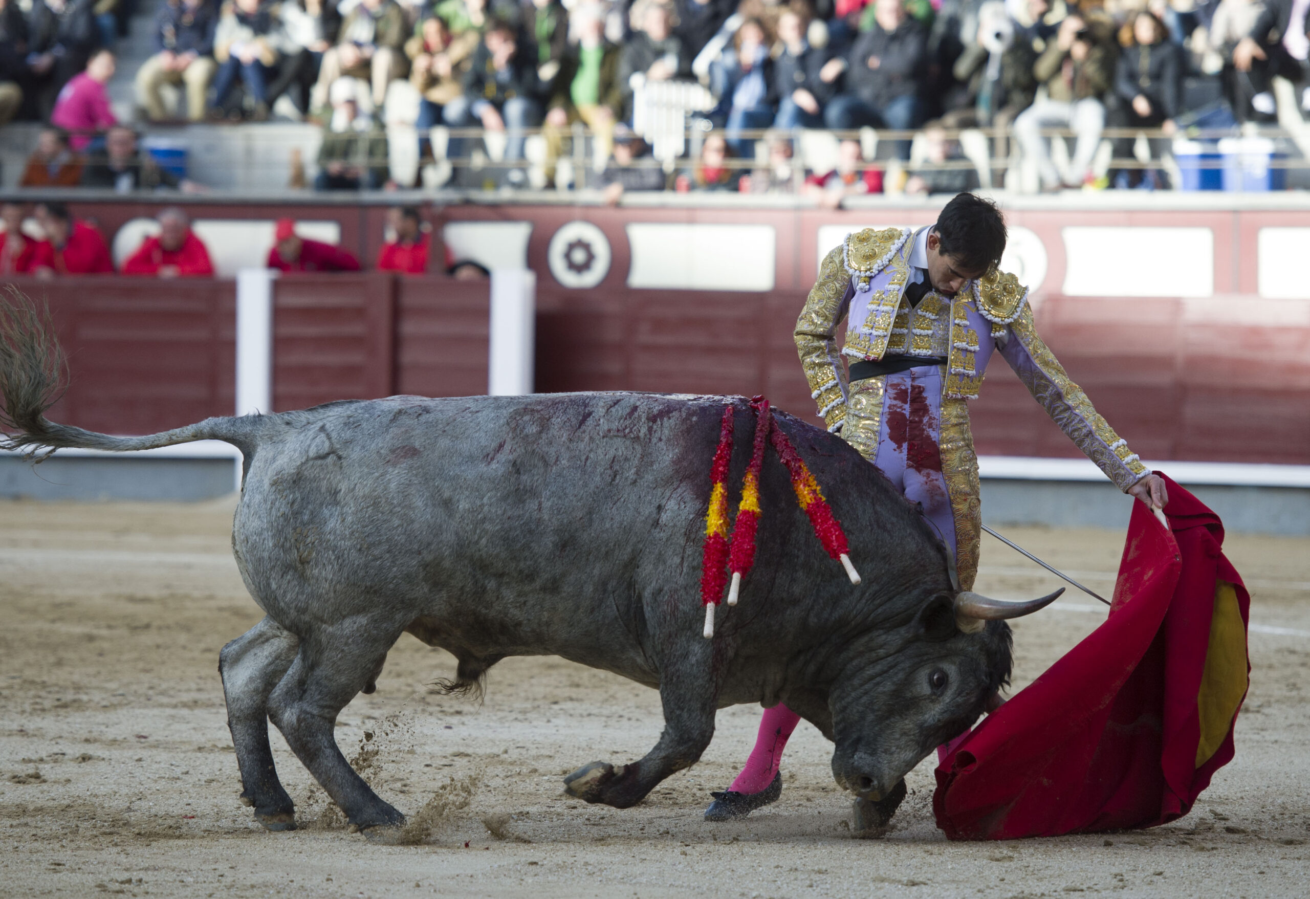 El domingo en Madrid, personalidad Fortes.