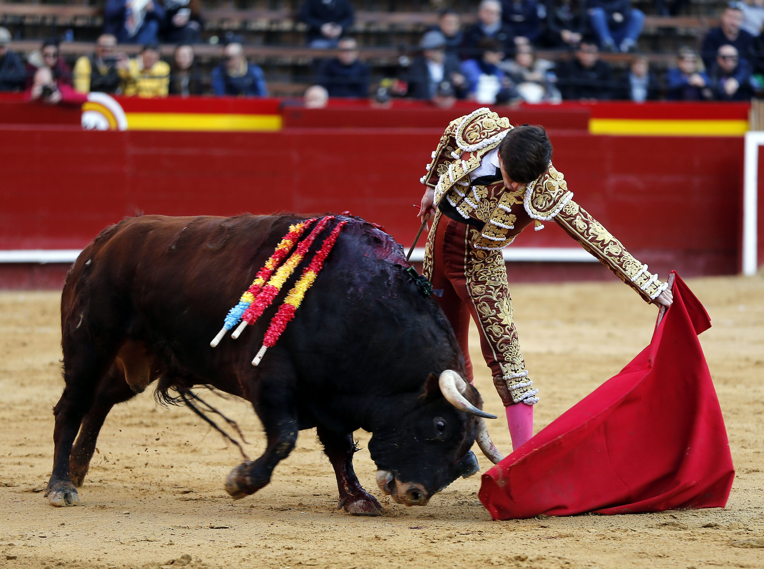 José Garrido: “Para triunfar, primero hay que fracasar”