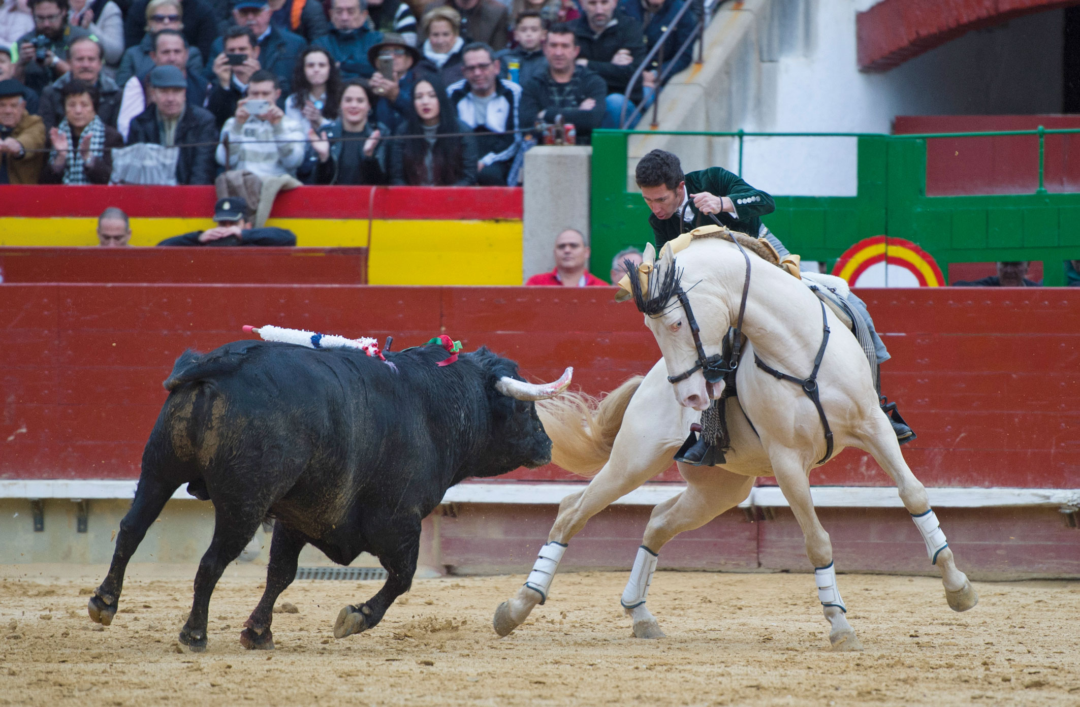 Clásico, puro y... figura