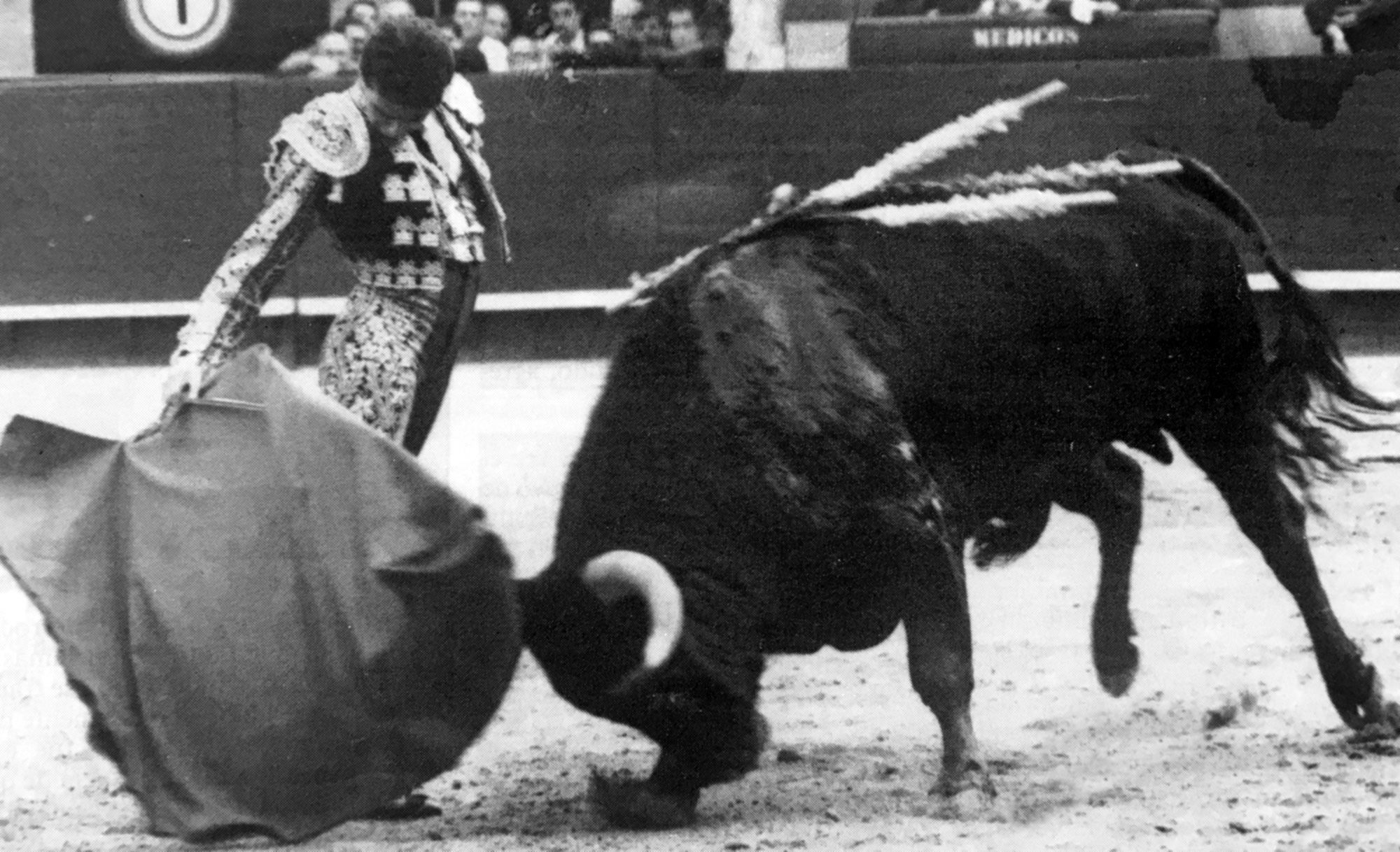 Ponce salió de las Fallas de 1993 definitivamente lanzado como figura.