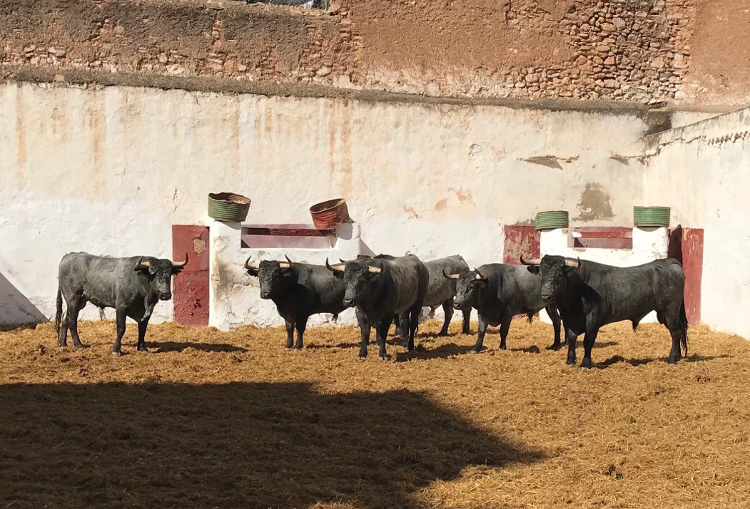 Seis de Victorino para Fandi, Castella y Varea en Castellón